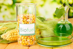 Custards biofuel availability