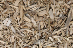 biomass boilers Custards